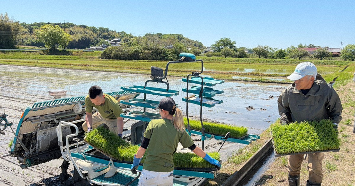 米の増産どこへやら 故郷で田植え、記者が感じる「祭り」のあと | 毎日新聞