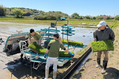 シーズン本番を迎えた水田で、田植え機に苗を積み込む仲間たち＝滋賀県東近江市で2026年5月5日、奥村隆撮影
