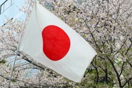 桜と日の丸＝東京都文京区で2026年4月7日、武市公孝撮影