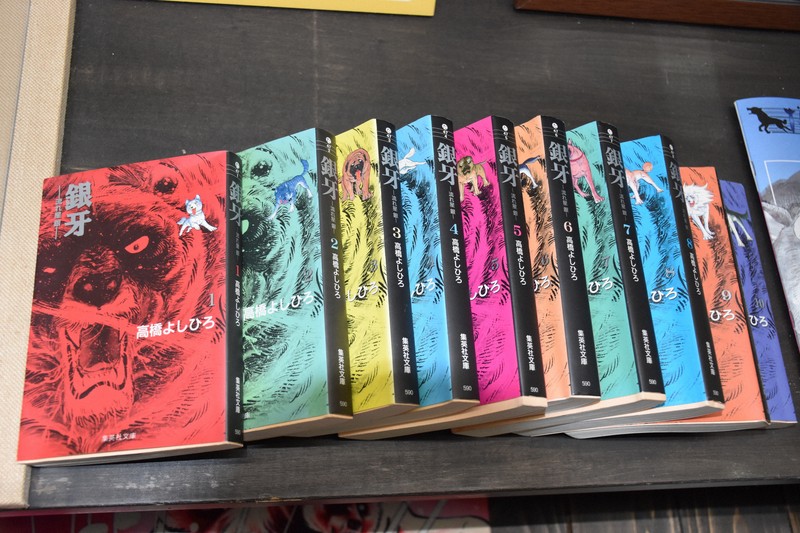 人食いグマに込めた作者の思い 読み継がれる漫画「銀牙」の原点 [写真