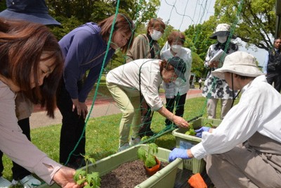 ゴーヤー栽培のコツを学ぶ参加者ら＝佐賀市で2026年5月12日午前10時58分、西貴晴撮影