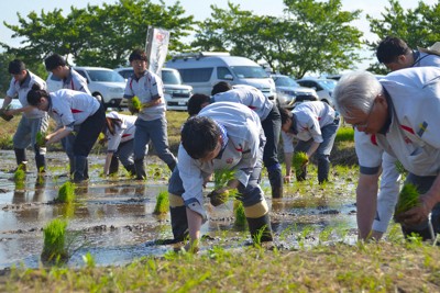 苗を手植えするアイリスオーヤマの大山晃弘社長（中央）ら＝宮城県丸森町で2026年5月12日、山中宏之撮影