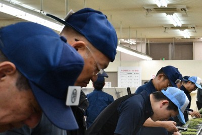 てん茶の色や香りを確かめながら入札する茶商ら＝鹿児島市南栄3の県茶市場で2026年5月14日、藤野智成撮影