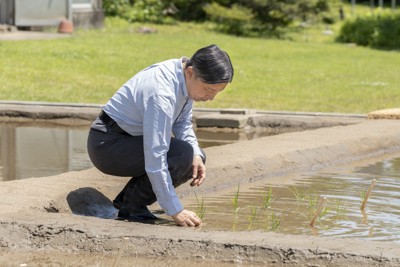 田植えをされる天皇陛下＝皇居内の水田で2026年5月13日午前（宮内庁提供）