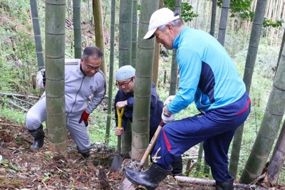 コップを手にタケノコを掘り出す「宇陀松山春日神社協力会」のメンバーら＝宇陀市大宇陀春日で、望月靖祥撮影