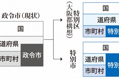 大都市制度のイメージ