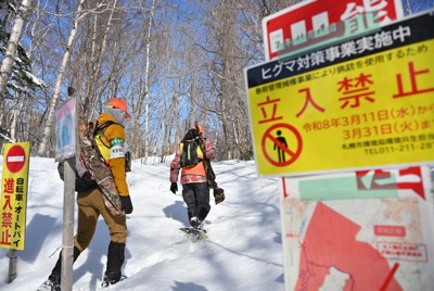 東北山菜採季頻傳熊襲事件，至少4人罹難，環境省呼籲提高警覺
