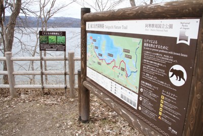 都市熊現蹤頻繁：專家解析原因與對策