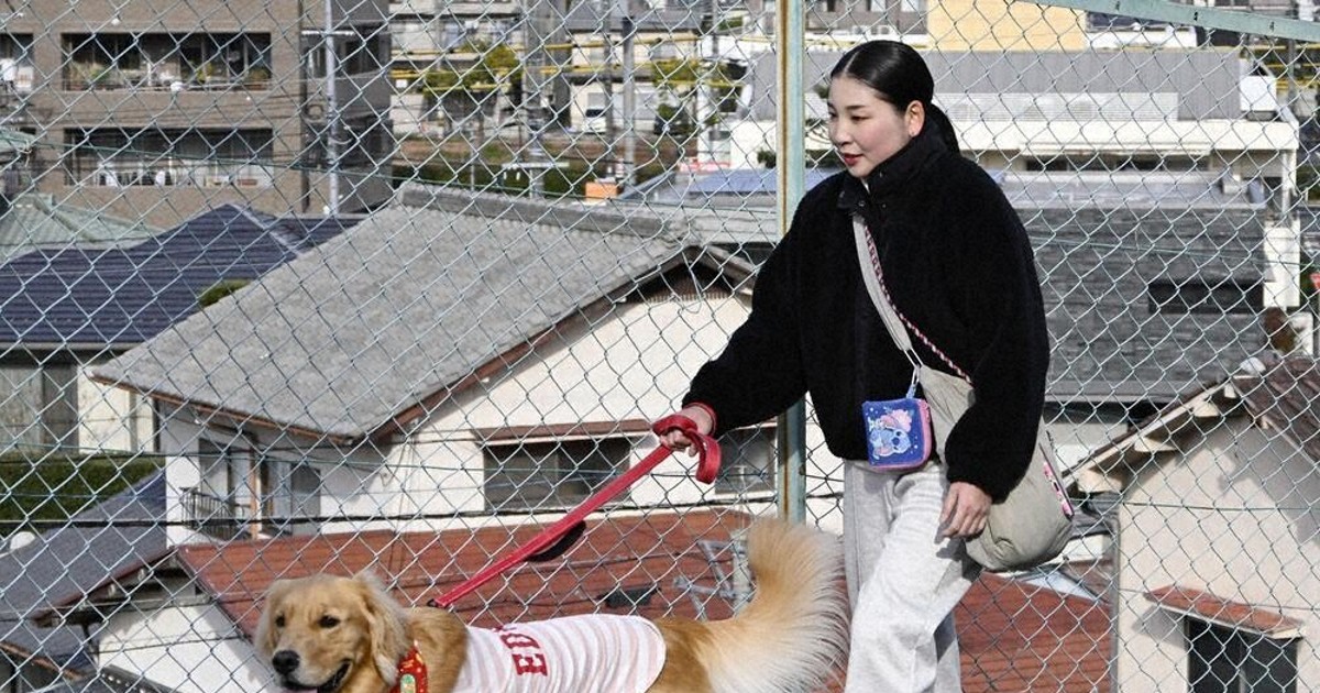 犬と散歩しながら地域の安全を守る「ワンパト隊」