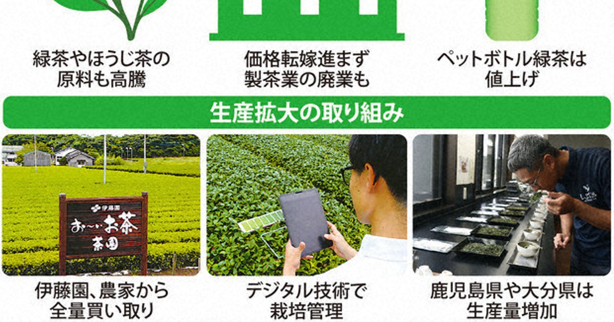 人気沸騰中の抹茶！お茶を楽しむ新しい輪