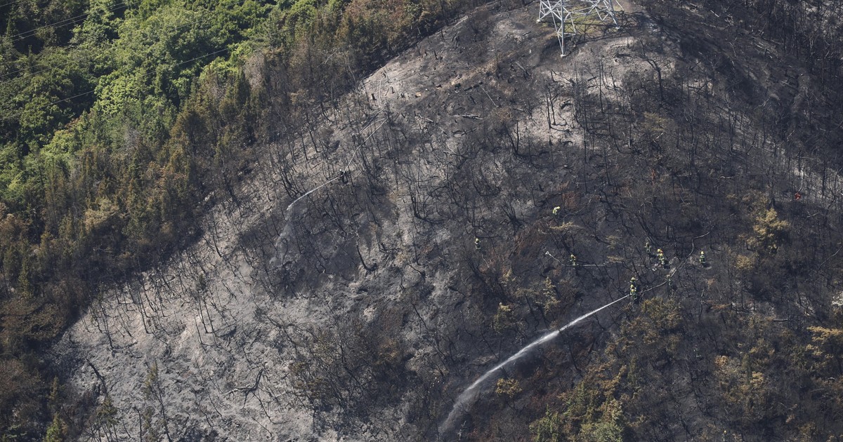 廣島福山山林火災鎮壓 人員與房屋無災損