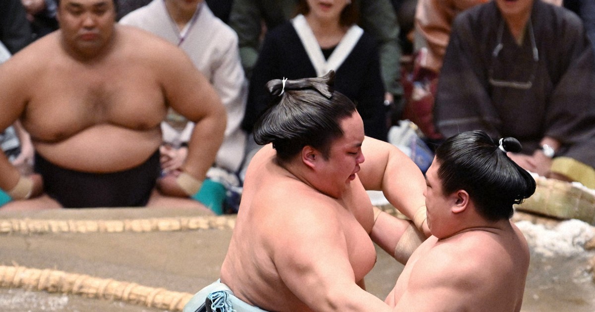 新關脇琴勝峰擊敗強敵豪取五連勝，小四歲弟弟琴榮峰也表現亮眼