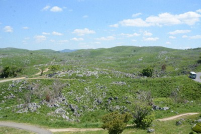 草原に無数の石灰岩が連なるカルスト台地「秋吉台」＝松尾雅也撮影