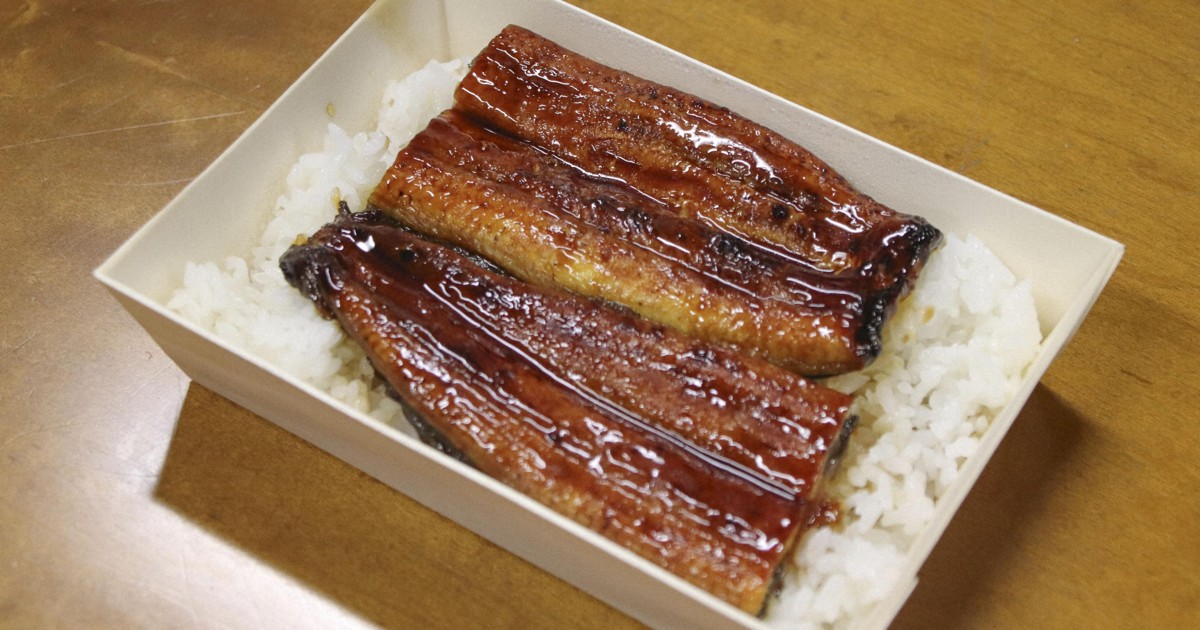 Japan to launch 1st sales of fully farmed eels amid declining wild stock