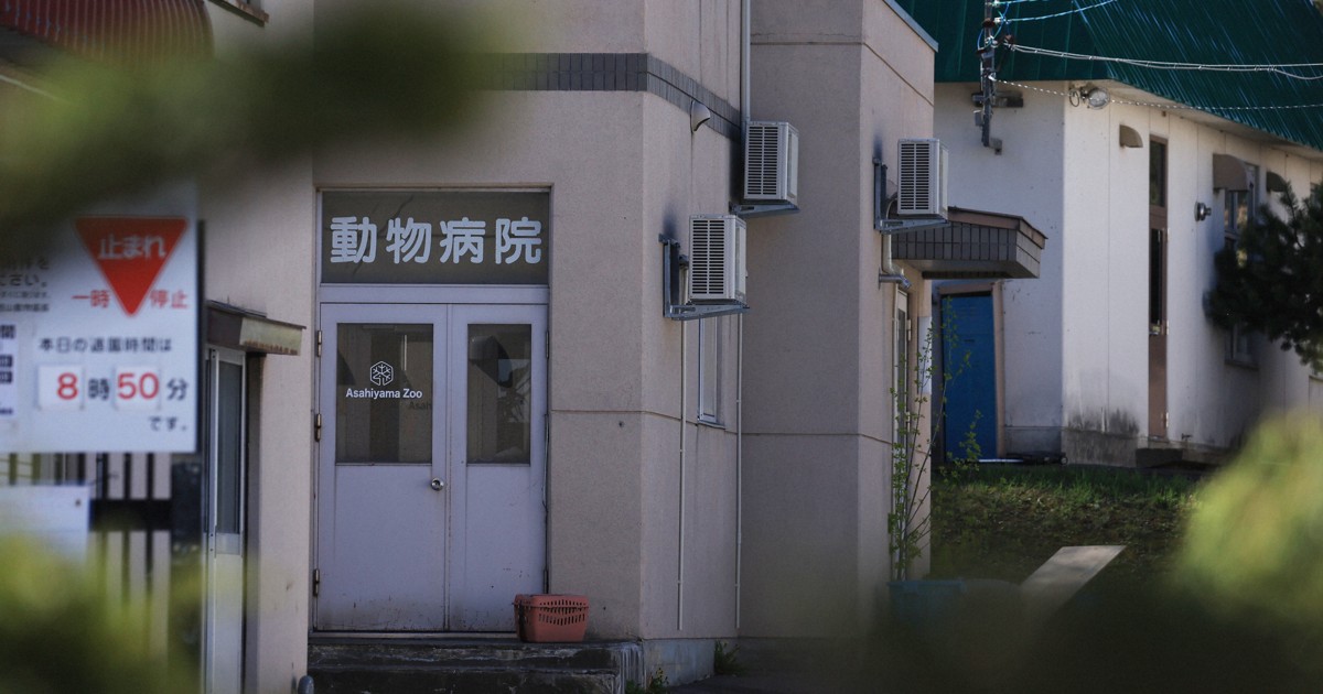 旭山動物園職員を死体損壊罪で起訴　殺人容疑も視野に捜査