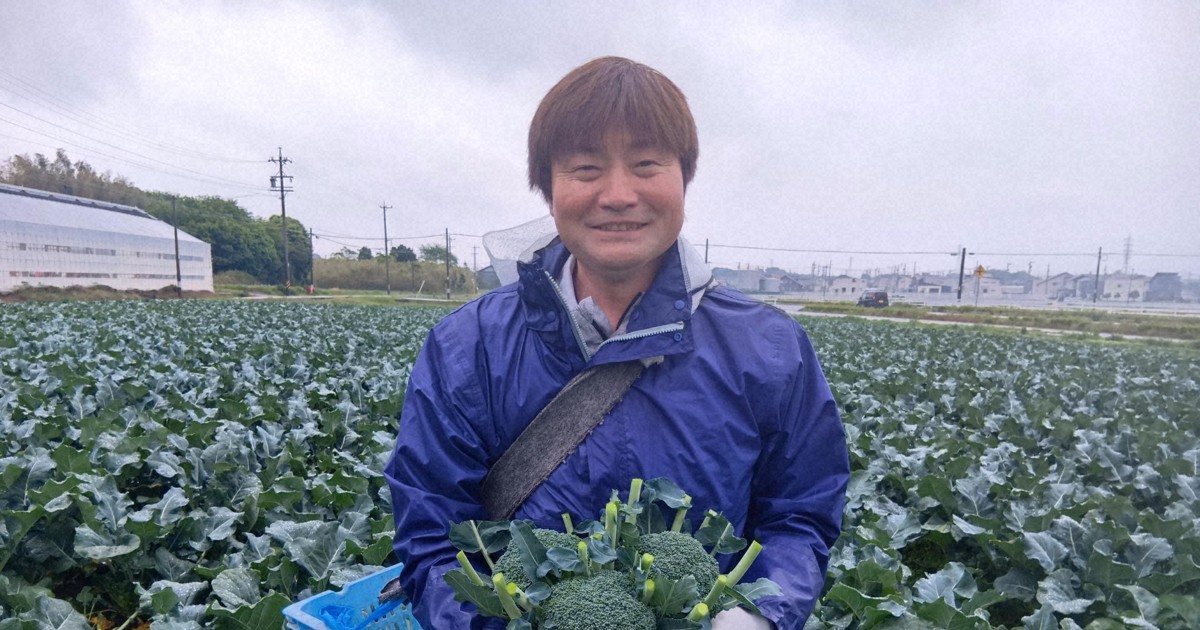 Japan designates broccoli as essential vegetable amid rising demand