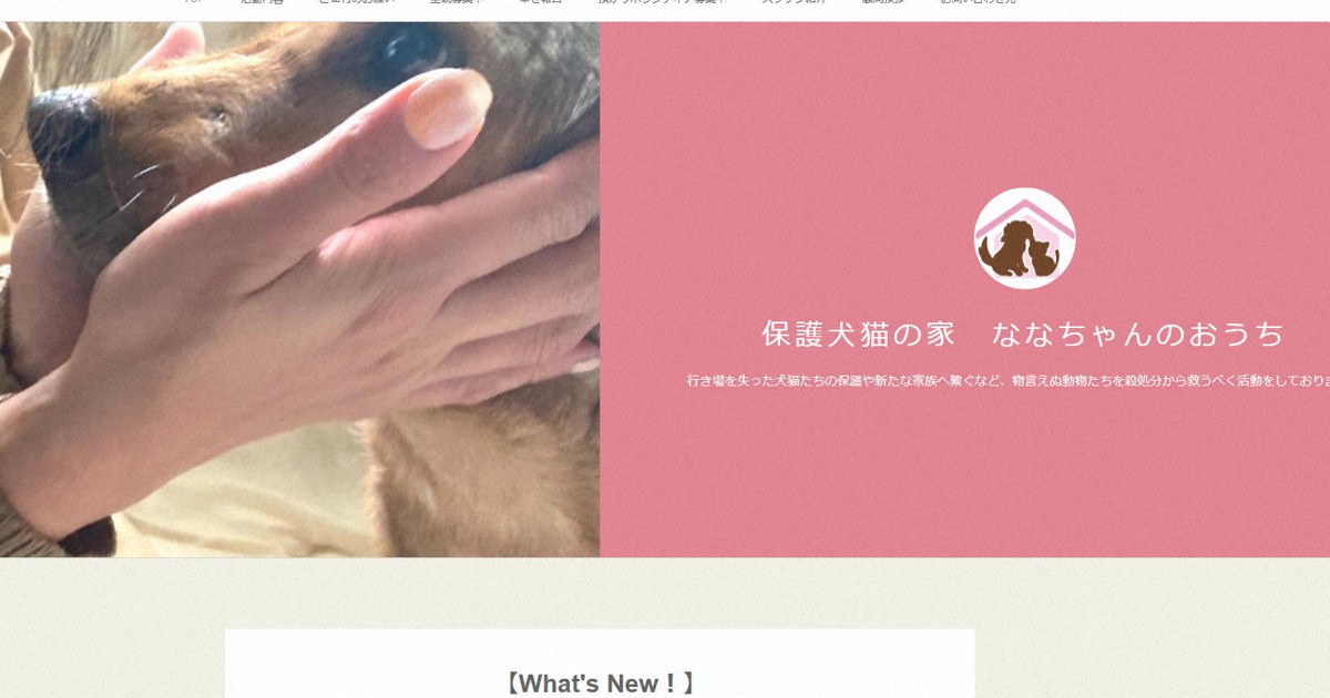 「放置した」　死体や汚物の中で犬猫飼育か　愛護団体代表を逮捕