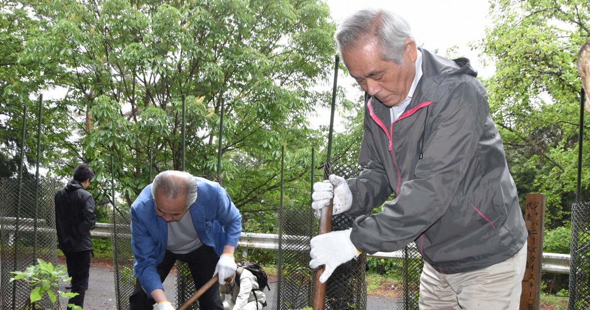 守護釀造威士忌的國寶級橡木桶：日本威士忌業者發起 मिズナラ 植樹傳承計畫