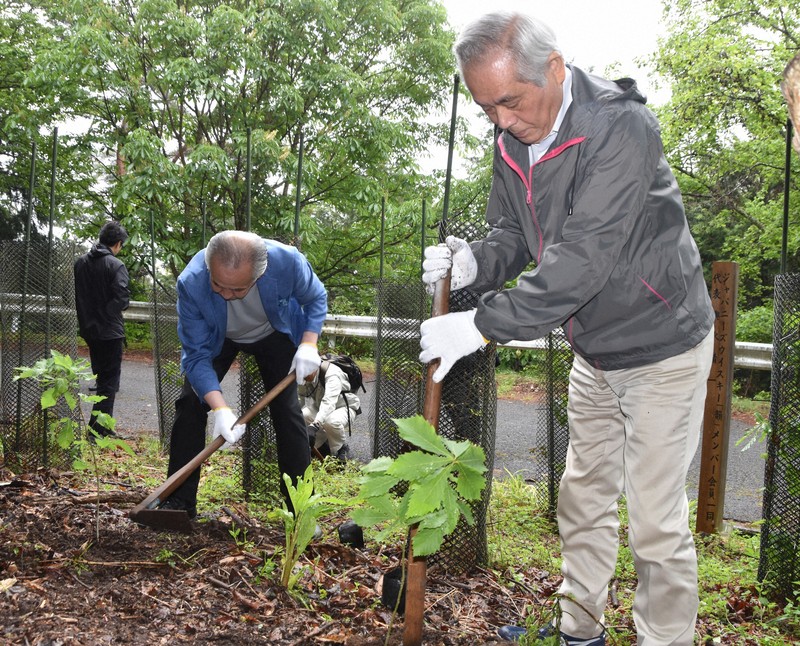 守護釀造威士忌的國寶級橡木桶:日本威士忌業者發起 मिズナラ 植樹傳承計畫