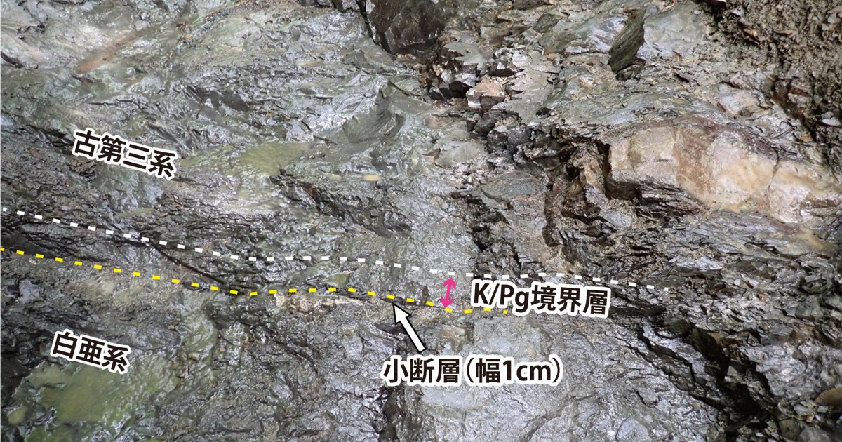 Japan-led team finds layer in Hokkaido showing asteroid impact that wiped out dinosaurs