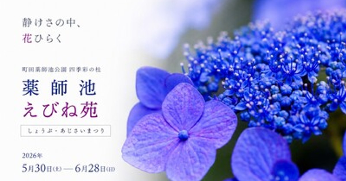 プレスリリース：［町田］約2,200株の花ショウブと約6,000株のアジサイ