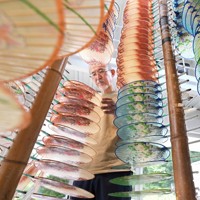 涼しげな「水うちわ」 夏本番を前に岐阜で製作最盛期 [写真特集1/11