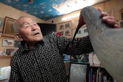 國寶級朱鷺重返能登天空 本州野放首例