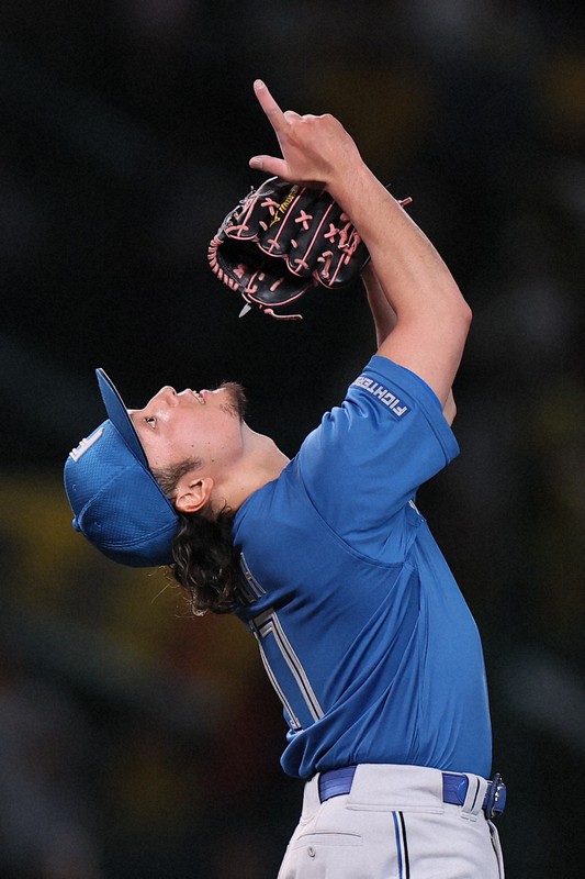 プロ野球セ・パ交流戦 阪神－日本ハム [写真特集1/26] | 毎日新聞