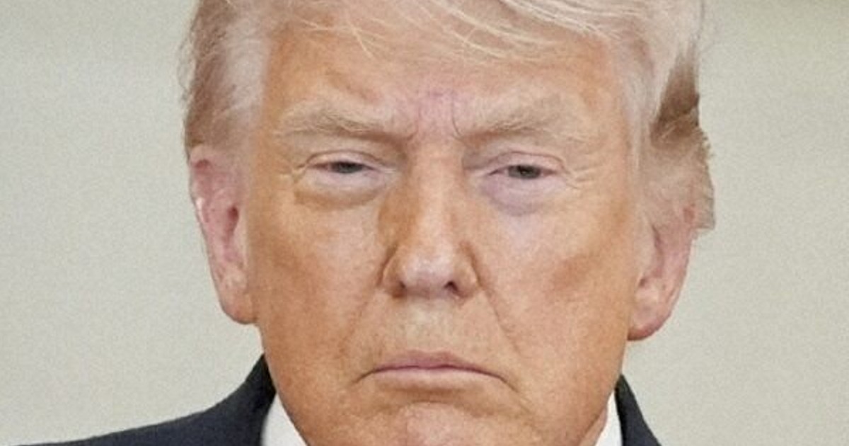 トランプ政権、NATOへの軍事的貢献を大幅削減へ　独報道