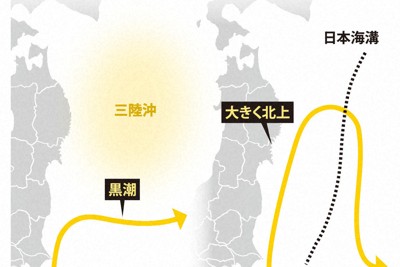 西部北太平洋水溫「變動」與日本周邊海洋熱浪關聯性研究