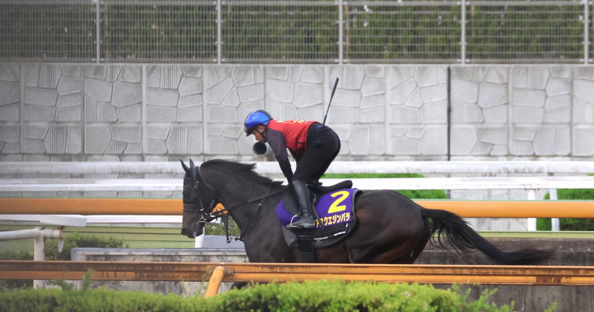 相棒は双眼鏡:ダービーは「アスクエジンバラ」　後悔のない本命予想