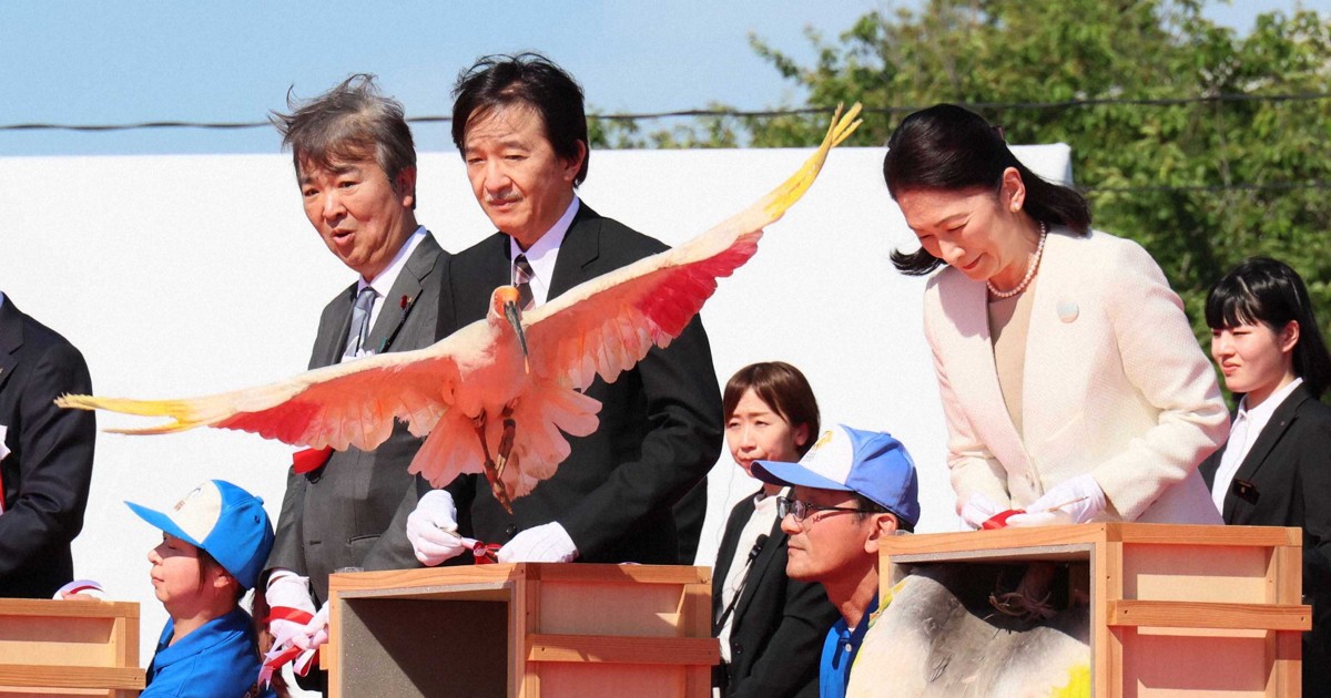 國寶級朱鷺重返能登天空 本州野放首例