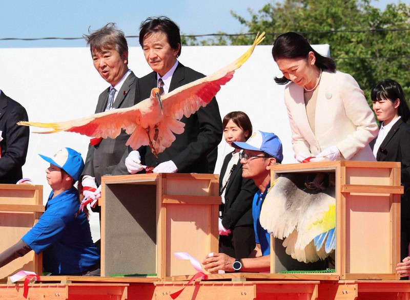 國寶級朱鷺重返能登天空 本州野放首例
