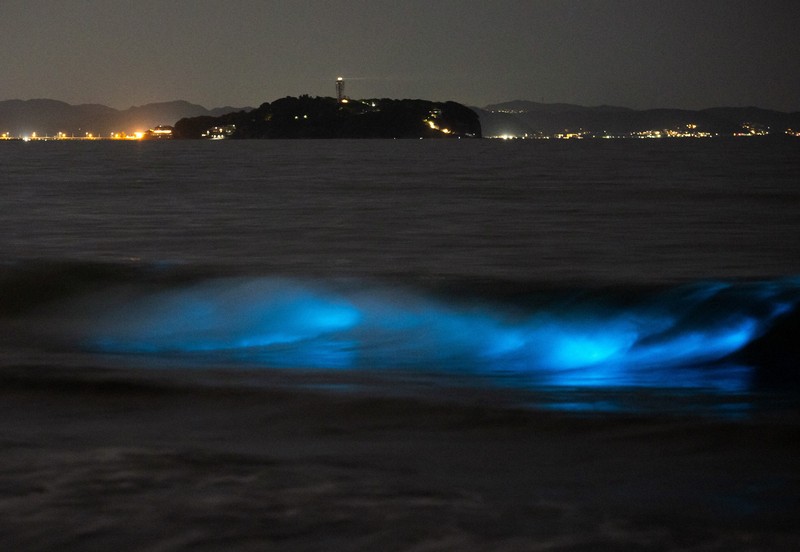 湘南で青白く輝く夜光虫が発生 [写真特集1/6] | 毎日新聞