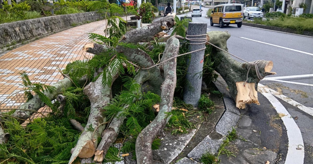 台風6号　沖縄で9人軽傷、建物破損も　1万人超に避難指示