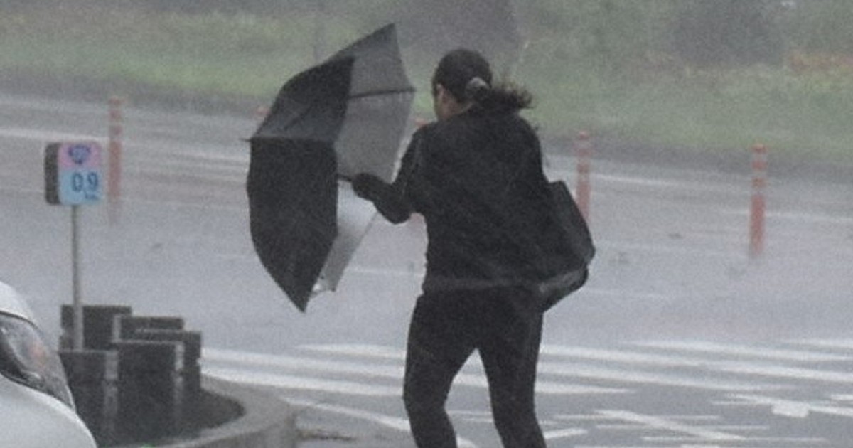 台風6号　高知・四万十町にレベル4大雨危険警報を発表