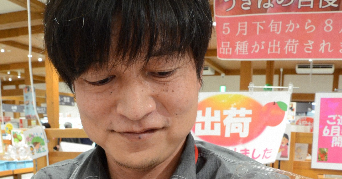 「うきはの旬、楽しんで」　香りよく柔らか　特産桃の出荷本格化