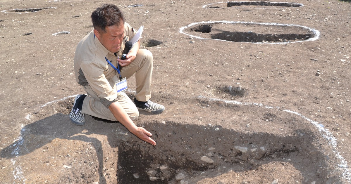 弥生時代の大型掘立柱建物跡が見つかる 滋賀の中畑・古里遺跡で
