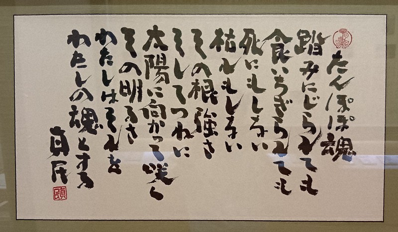 支局長からの手紙：たんぽぽ ／愛媛 | 毎日新聞