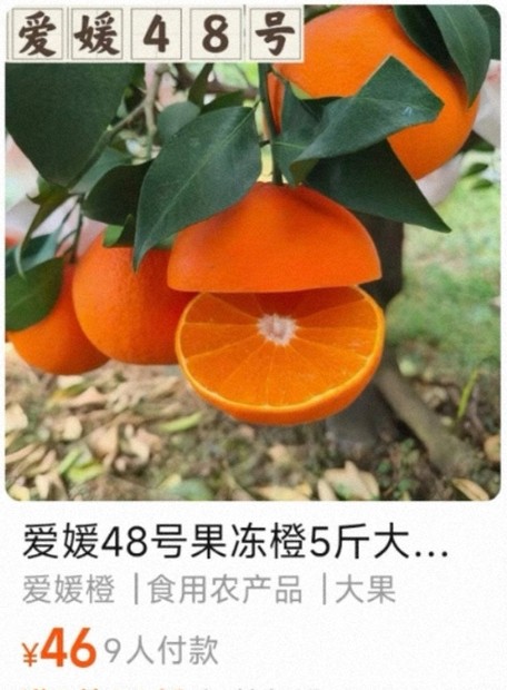 愛媛産の高級かんきつ新品種、中国流出か 大手通販サイトで販売 | 毎日新聞