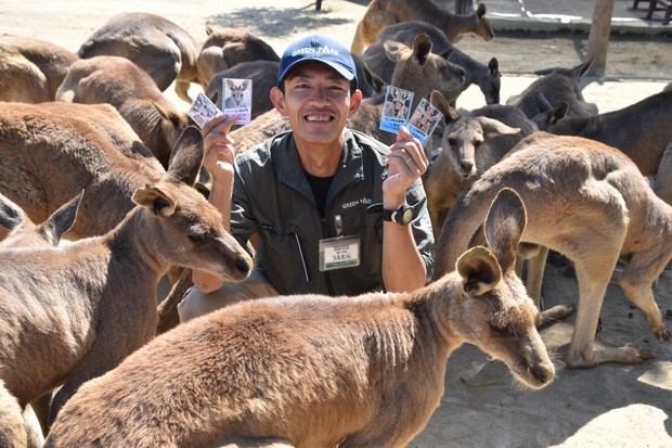 New kangaroo trading cards have fans hopping to park gift shop in