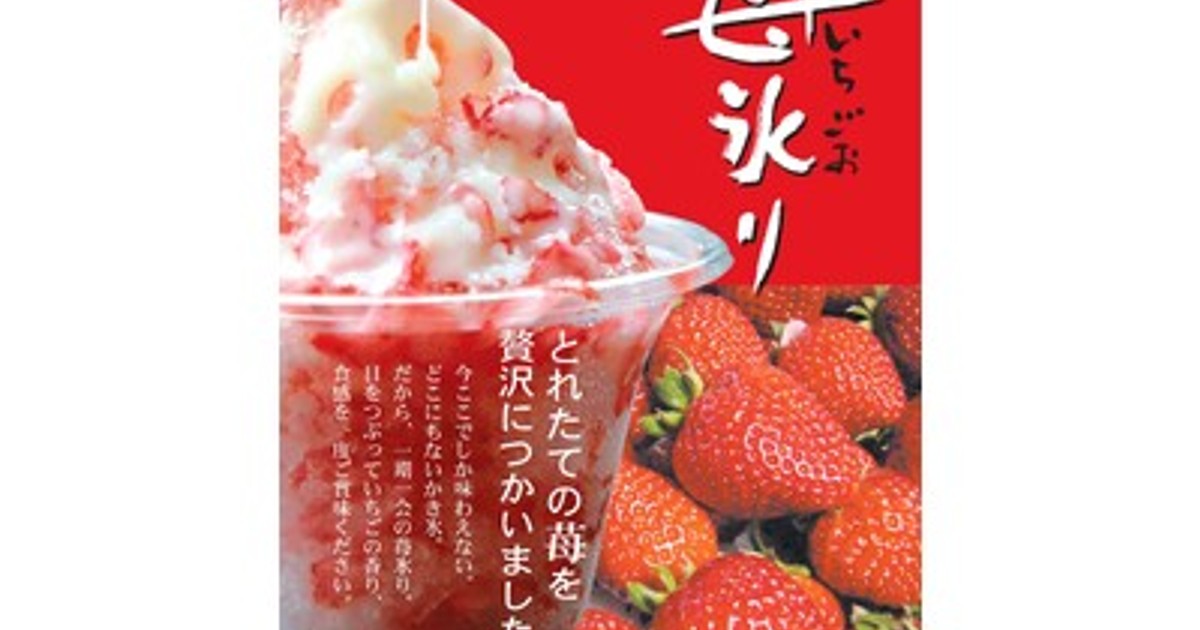 プレスリリース：［愛媛・松山］P・SPO、松山土曜夜市に今年も出店