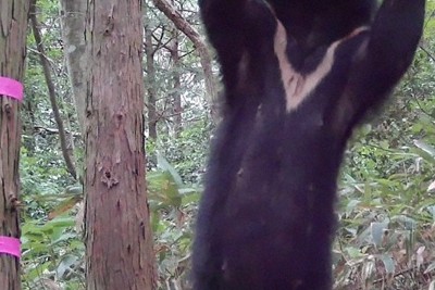 知床羅臼岳登山道重新開放 警戒等級仍為「警戒」