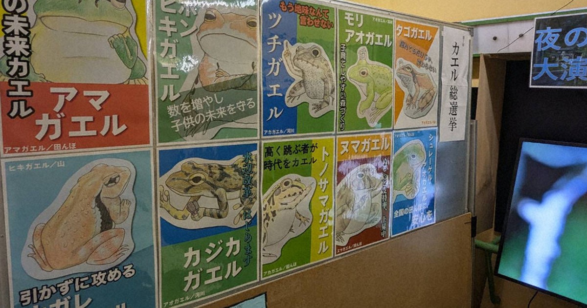カエル総選挙 推しに一票 公約掲げる カエル10候補 舌戦スタート 名張