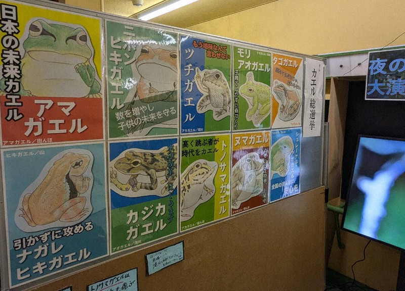 カエル総選挙 推しに一票 公約掲げる カエル10候補 舌戦スタート 名張