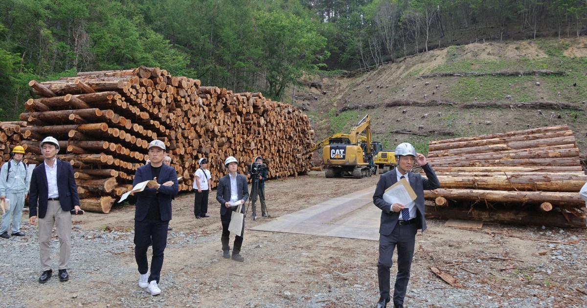 Wood industry forms group to expand use of fire-damaged trees in northern Japan city