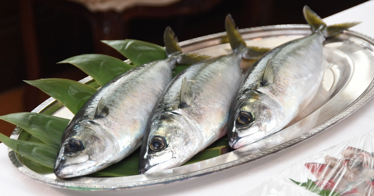 完全養殖マサバを特産に 寄生虫リスクほぼなく生食も 愛媛