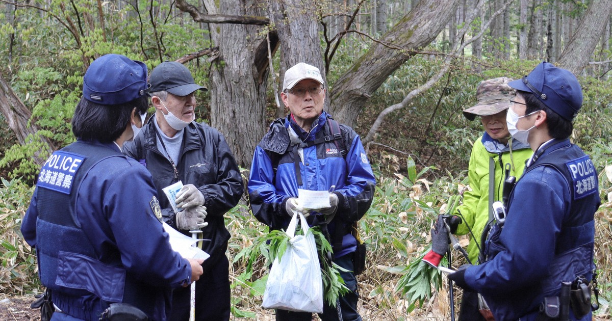 Deaths and accidents mount in Hokkaido as foraging season reaches its peak