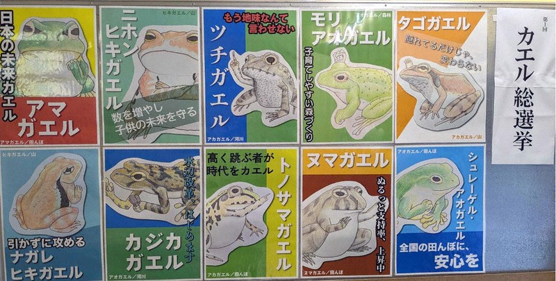 カエル総選挙、推しに一票 公約掲げる10候補 三重・赤目滝水族館