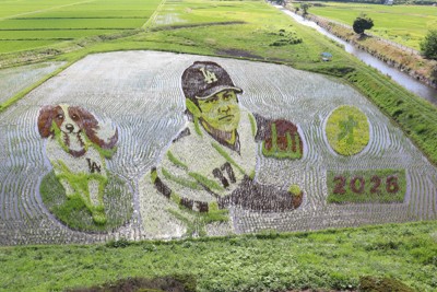 青森田舍館村稻田藝術進入觀賞期,今年以「幽靈畫」與「蘋果娘」為主題